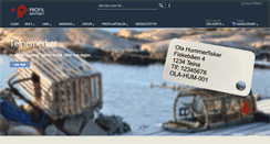Desktop Screenshot of profilsenteret.no